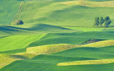 Climate change threatens global breadbaskets